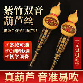 紫竹双音葫芦丝C调降B调学校推荐成人学生演奏型葫芦丝乐器