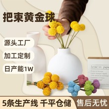 ���ư����S������滨�ѹ�Ӣ�ٻ� ���Ndiy��ĵ����S������滨