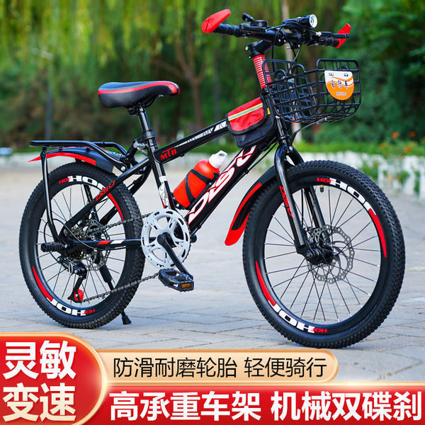 Bike for traveling for children and adults