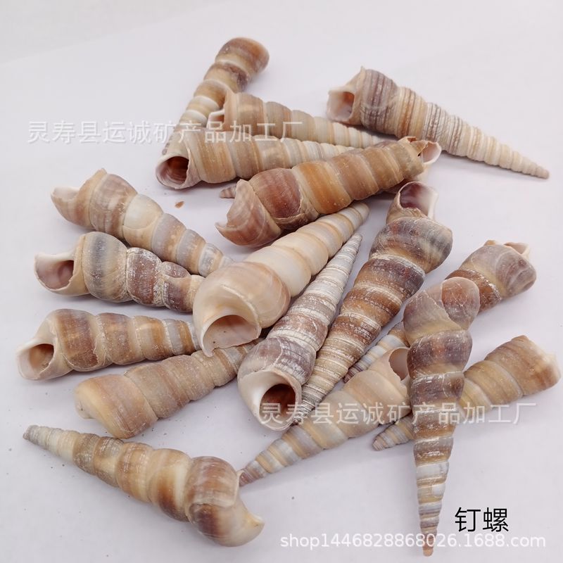 IMG_20210903_140236_副本