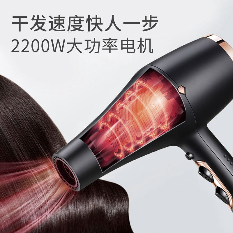 Secador de Pelo de Alta Potencia para Peluquería y Uso Doméstico, Venta al por Mayor de Fábrica, Secador de Pelo de Viento Fuerte