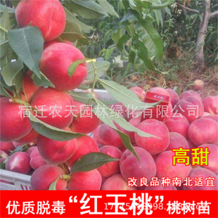 ����ֱ�ۼ޽���Ʒ�N��518���Ҙ��������l����518���Ҙ���