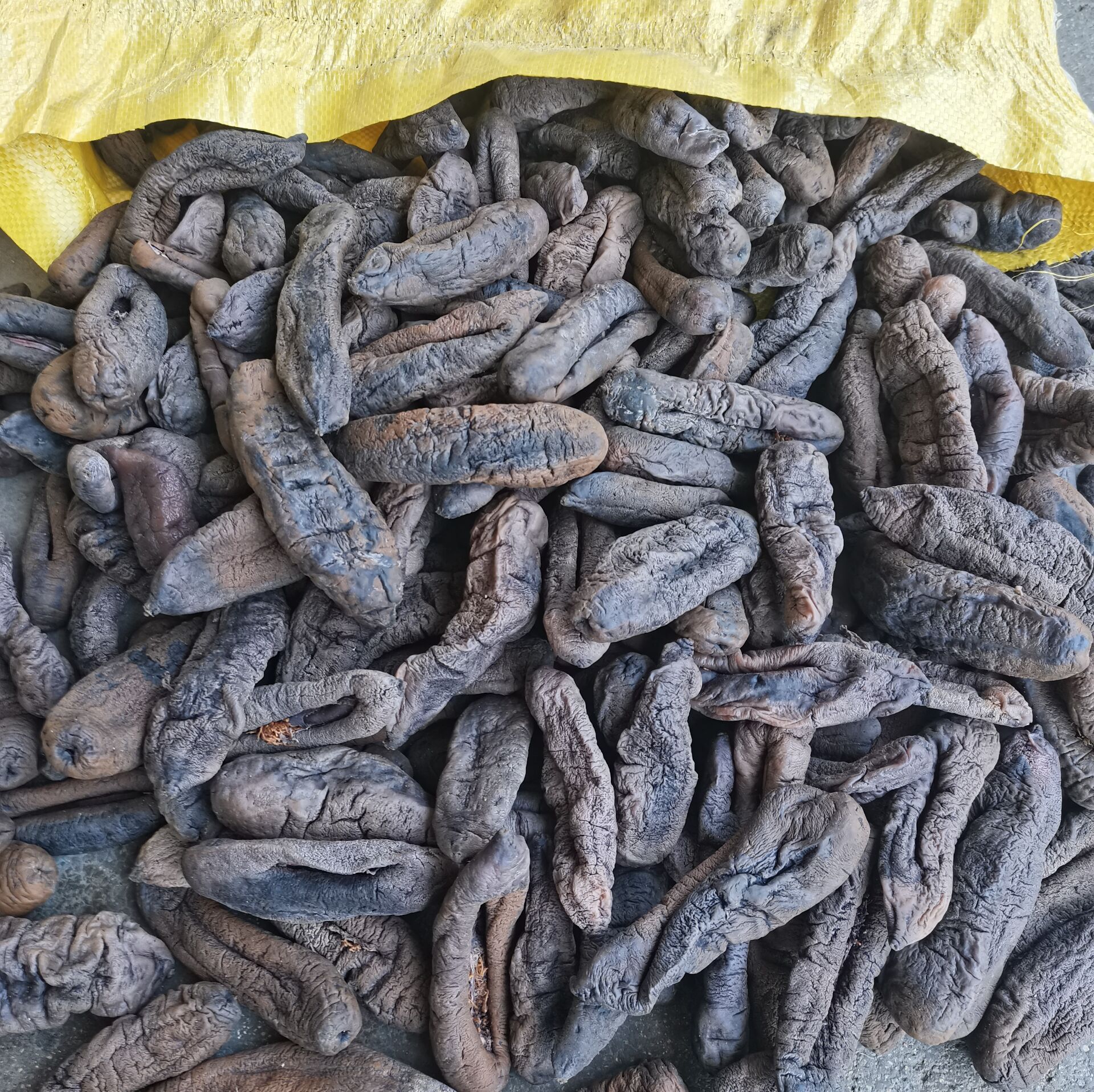 QQ圖片20231124090444