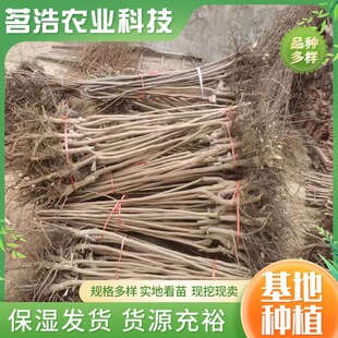 ���جF�������������������S�����Ϸ������Nֲ�����箔��Y��