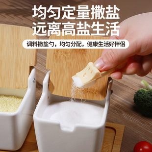 计量控盐勺家用2g限盐勺克数刻度调料勺子精准2克量勺食盐定量勺-阿里巴巴