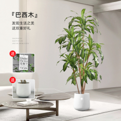 Simulated green plants Brazilian wood fake potted plants living room large bionic green plant ornaments indoor simulated fake plant decoration