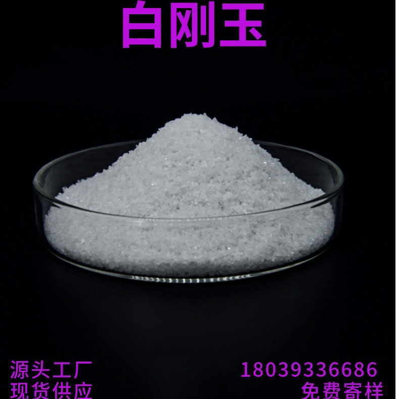 2024-03-30 16:30:22.jpg