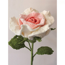 �hᘻ����ֹ�����̩��õ�廨���ϰ�ë�����W���h����Ʒ������