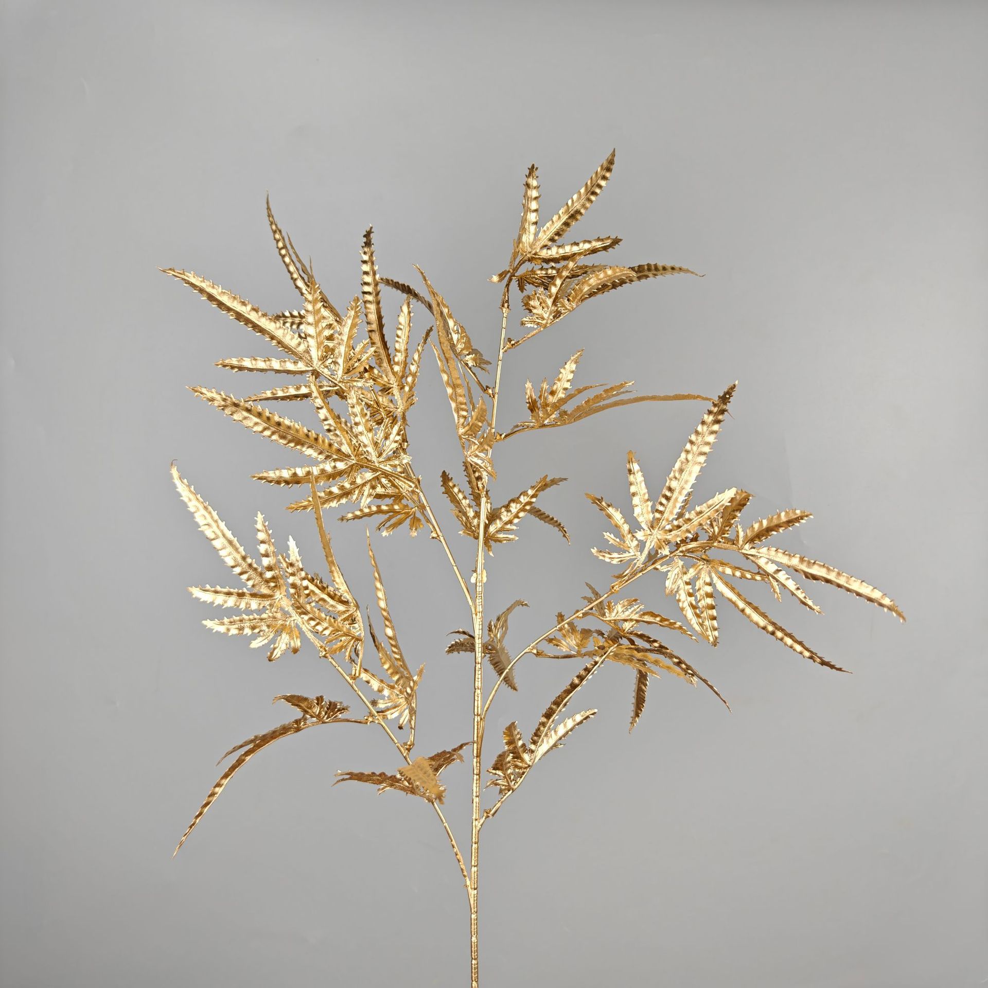 Chicken feet maple leaf