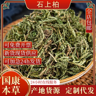Herba Selaginellae Doederleʯ�ϰؾG���؟oѬ����]��ș��ș��