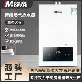 批发燃气热水器 12L16L家用低水压天然气恒温速热强排燃气热水器