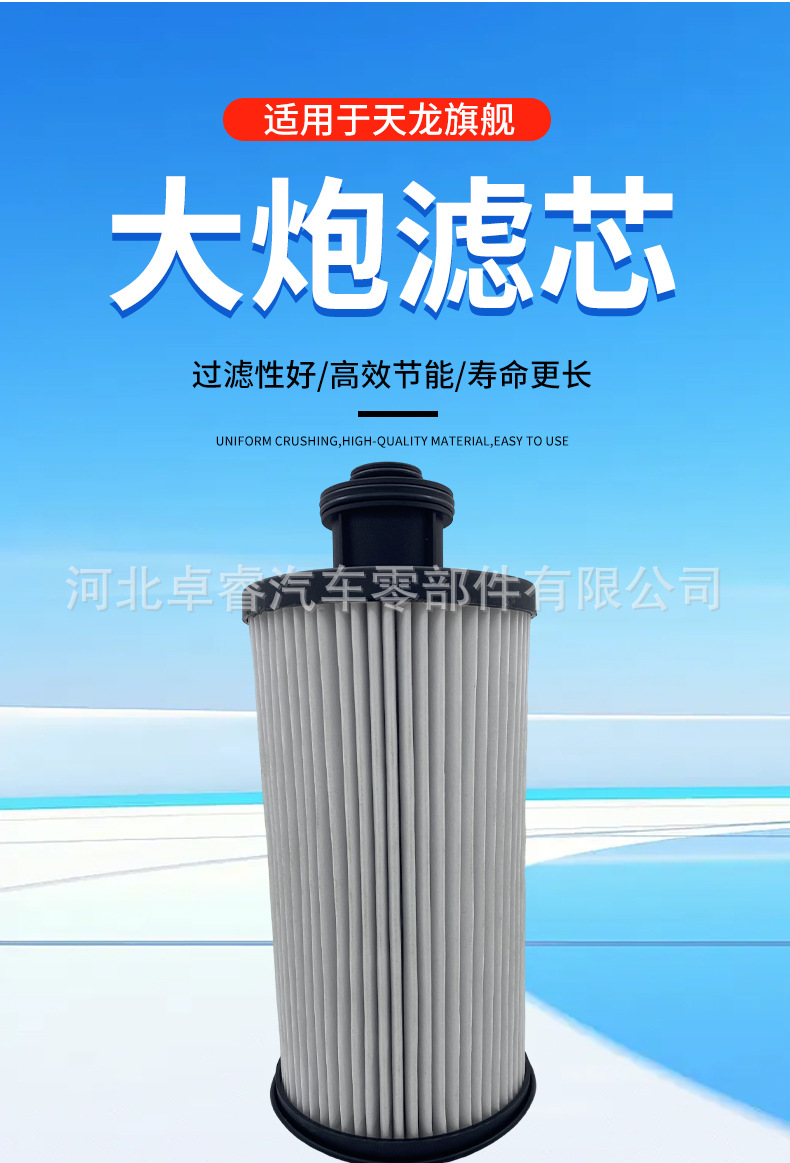 Source Manufacturer Spot Supply Car Filter 1125030-Ho2B0-Sfg Tianlong Flagship Cannon Filter Element