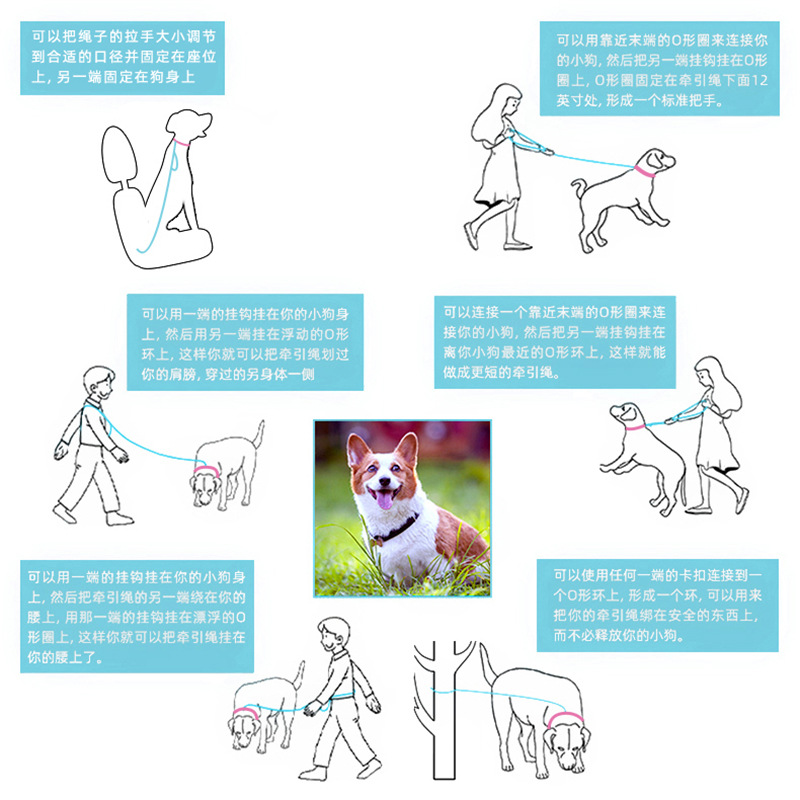 (2개) 국경 간 새로운 다기능 반사 텔레스코픽 개 가죽 끈 폭발 방지 애완견 가죽 끈 개 스트랩 도매 재고 있음