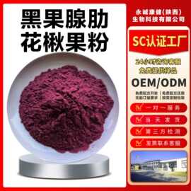 黑果腺肋花楸果粉80目孔径细粉水溶果蔬粉药食同源原料当天可发货