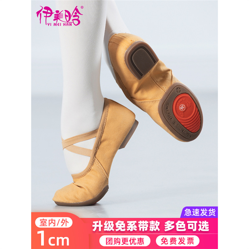 Professional Dance Shoes for Women, Adult Classical Dance Shoes, Non-Slip New Style, Kidsren's Soft Soles, Teachers' Special Indoor and Outdoor Dancing Shoes