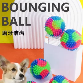 减压玩具;狗狗玩具;整人玩具