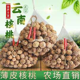 新货云南薄皮核桃纸皮核桃薄皮山核桃多规格休闲零食批发跨境电商