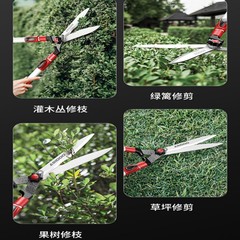 German pruning shears, lawn shears, gardening scissors, greening garden tools, fences, fruit trees, floral art, thick branch scissors wholesale