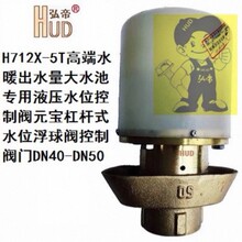 H712X-5T�~�y�w���P��wҺ��ˮλ�����y�aˮ�����y�����ܗUʽDN50