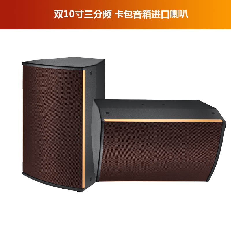 Titular de la tarjeta Altavoz profesional doble de 10 pulgadas de la familia KTV karaoke casa sala privada Conferencia subwoofer bar al por mayor