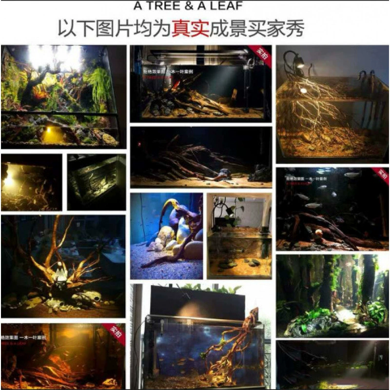 Прожектор для аквариума, светильник для аквариума, светодиодный светильник, южноамериканский аквариум, рыбки специальной формы, трехозерные рыбки, родной аквариум, резервуар для воды, прожектор для морского аквариума