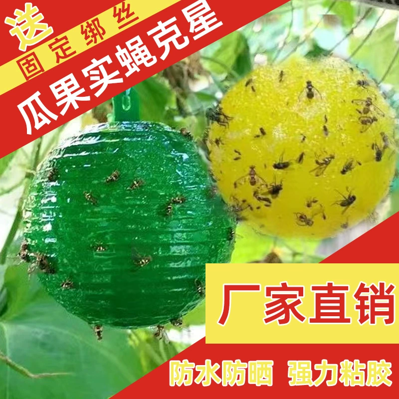 Ловушка для фруктовых деревьев мяч цитрусовый большая фруктовая муха апельсин маленькая фруктовая муха Дыня фруктовая муха палка червь шаровая ловушка мед пчела Дыня фруктовая муха