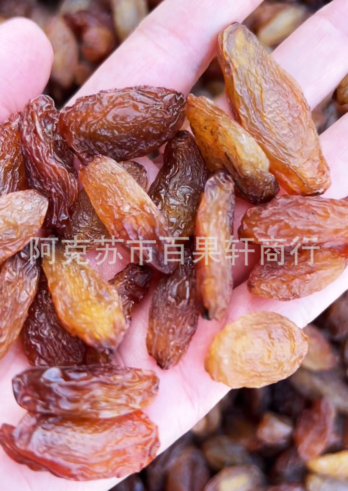 微信图片_20231015151511