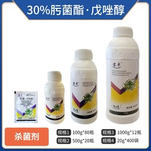 30%뿾�&middot;�����rș��������Ʒ뿾��������������l
