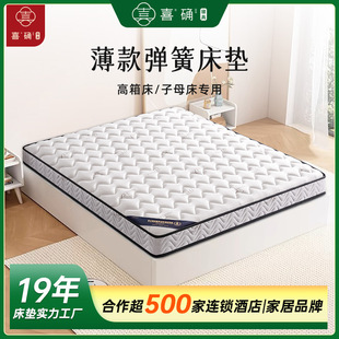 ϯ��˼���|15cm����ñ���������S�����z1.5���o���o��Ӳ�|��