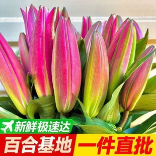 ��ˮ�ٺϻ��r�����ֱ�l��������ֱ���r�л�����ˮ�B�廨���fͬ��