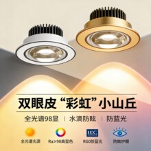 客厅LED嵌入式筒灯双眼皮彩虹小山丘射灯全光谱防蓝光Ra98高显色