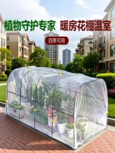 ����ů�������������͸���Nֲ���ļ�ͨ��ֲ�ﻨ�ܷ�����ů��Gֲ