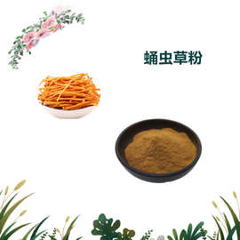 沃特莱斯生物 蛹虫草提取物 速溶粉 浸膏粉 2kg起批 量大从优
