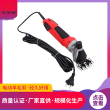 ��Э���¿�綯��ë�������� �����ʡ����ë����ë�� �����