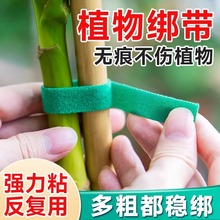 ճ�̶������������ò廨���Gֲֲ�ｉ������ֲ�ｉ��ճ�ێ��@ˇ��