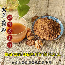 灵芝虫草胶囊 1# 0# 00# 胶囊代加工 跨境外贸 OEM定制 源头工厂