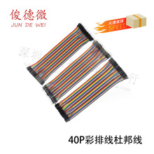 �S��ֱ�N ���| 40P���ž��Ű �Ű 10/20/30CM