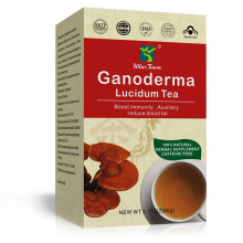 IMMUNE 袋泡茶Ganoderma Lucidum Tea BOOSTER custom茶厂