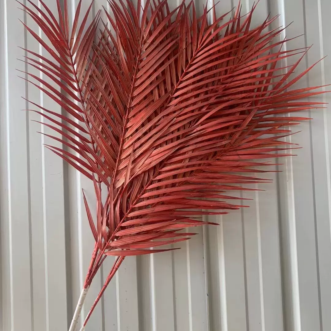 仿真绿植3叉散尾葵北欧网红婚庆假花软装塑料叶系列花束婚庆必备