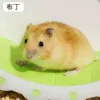 Premium Pudding