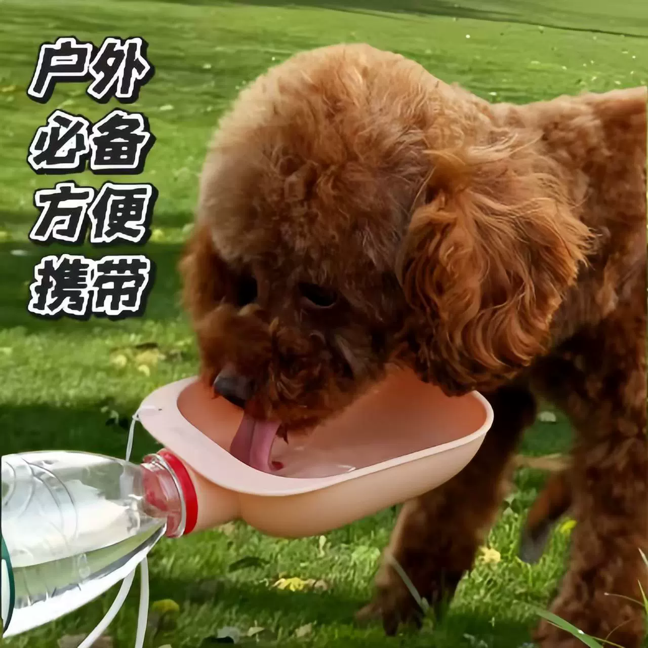 Pet Cup Cup Трансграничный выход портативный дозатор для собак