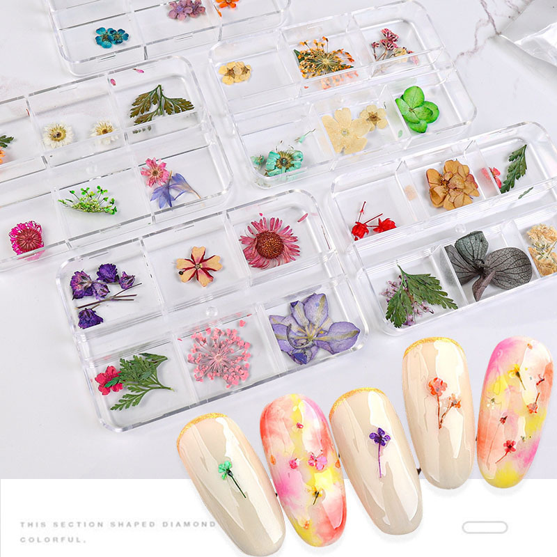 Uña flor seca japonesa pequeña fresca estrella de sol mixta flor real flor pequeña flor de manicura caja de flores secas manicura