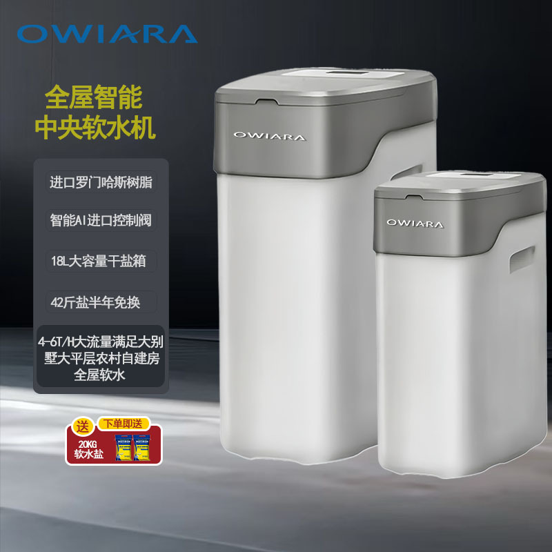 软水机全屋中央净水全自动软水设备除水垢大流量软水器家用软水机