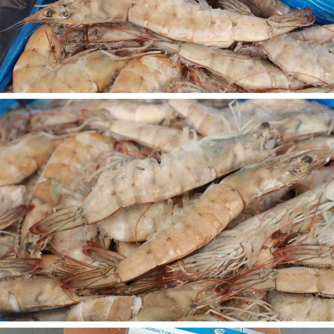 20-30盐冻净重3.3斤厄瓜多尔白虾对虾海捕虾海虾青岛大虾包邮海鲜