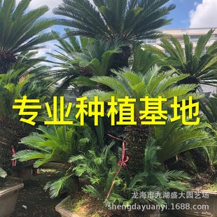 �������u���^�F�� ��2�״��F�����l �����F���辰��r �F�����