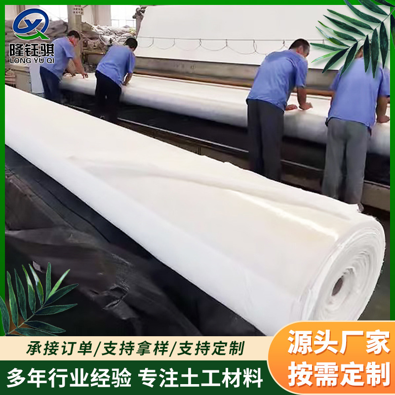 复合土工膜垃圾填埋场沼气池河道人工湖鱼塘养殖防渗水复合土工膜