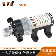厂家供应电动隔膜泵微型水泵60W单泵自吸式自动启停泵直流低噪音