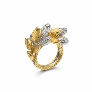 ���ҿ��ȶ��M��vintageĦ�������������йŽ�ָ