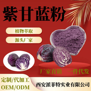 Purple cabbage powder 99% purple cabbage extract water-soluble spray drying cabbage powder purple cabbage vegetable powder