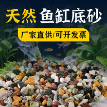 鱼缸底砂溪流石原生缸雨林造景沙尼罗河沙水族箱铺底用沙溪流砂